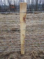 Schapengaas Crapal Zwaar | Draaddikte 3,7/3,0 - Afbeelding 2