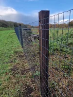 Tuingaas groen geplastificeerd (Classic) | 5,0x10 cm | Draaddikte 2,2 mm - Afbeelding 2