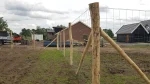 Robinia palen rond | gepunt - Afbeelding 3