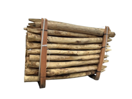 Kastanje palen | gepunt